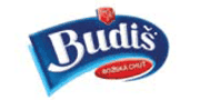 budis - partner inscenácie